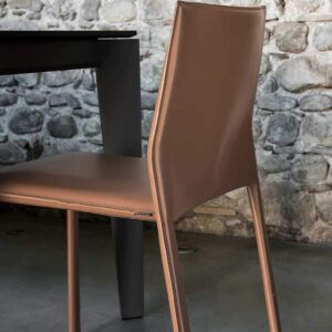 A CORIUM modern szék lehengerlő színeivel a szoba ékévé válhat.